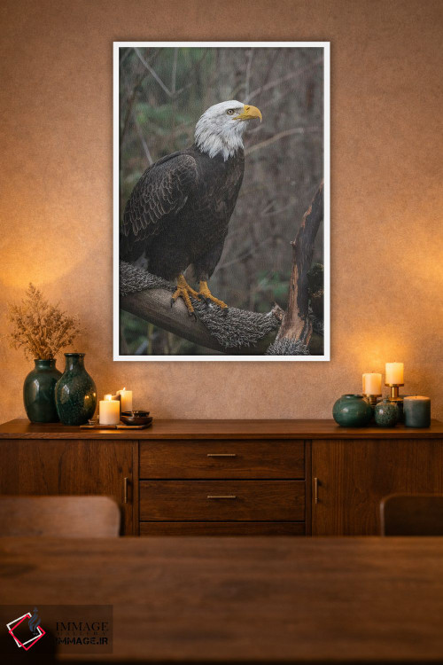 تابلو دکوراتیو عقاب تک بال اثر لوئیس راث - D1W