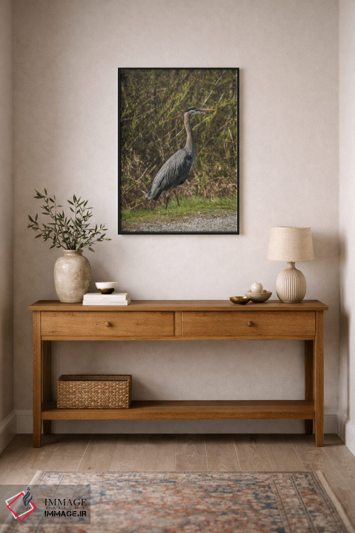 تابلو دکوراتیو ژست حواصیل آبی بزرگ اثر لوئیس راث - D2B