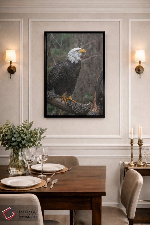 تابلو دکوراتیو عقاب تک بال اثر لوئیس راث - D2B