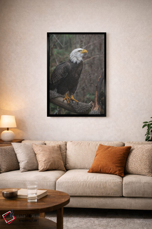 تابلو دکوراتیو عقاب تک بال اثر لوئیس راث - D4B