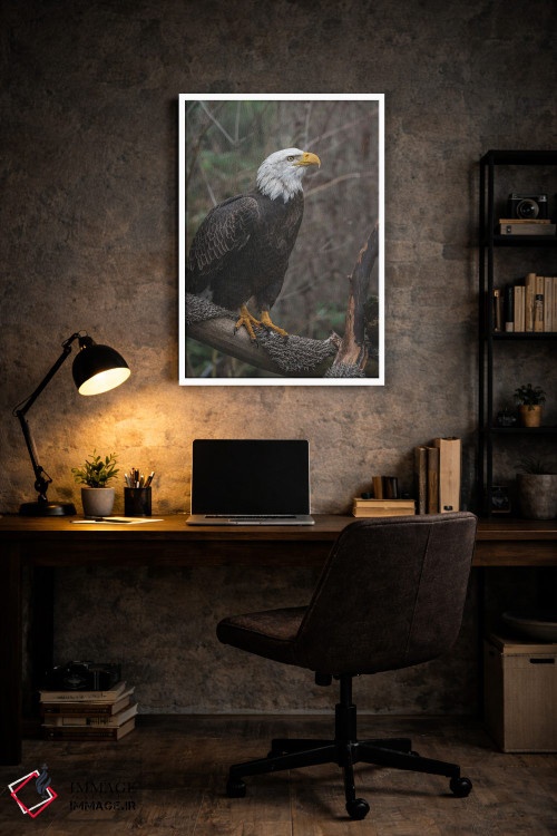 تابلو دکوراتیو عقاب تک بال اثر لوئیس راث - D6W