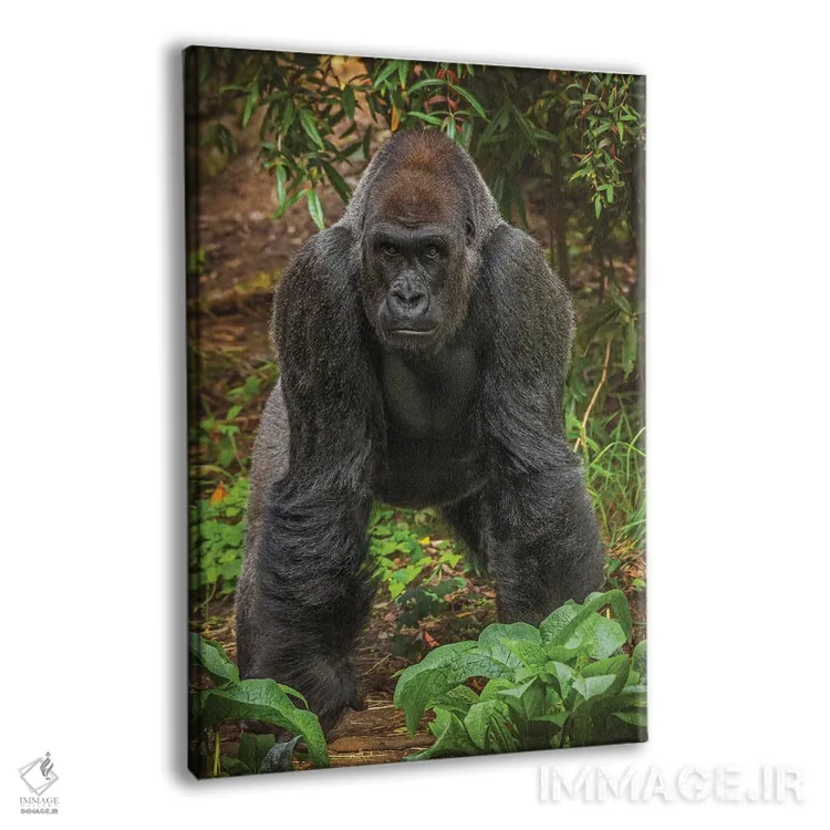 تابلو دکوراتیو من آماده ام، تو چطور؟ اثر لوئیس راث - نمای پرسپکتیو محصول