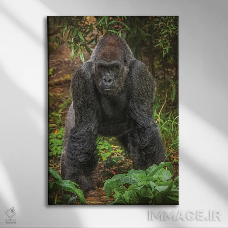 تابلو دکوراتیو من آماده ام، تو چطور؟ اثر لوئیس راث - نمای روبهرو روی دیوار