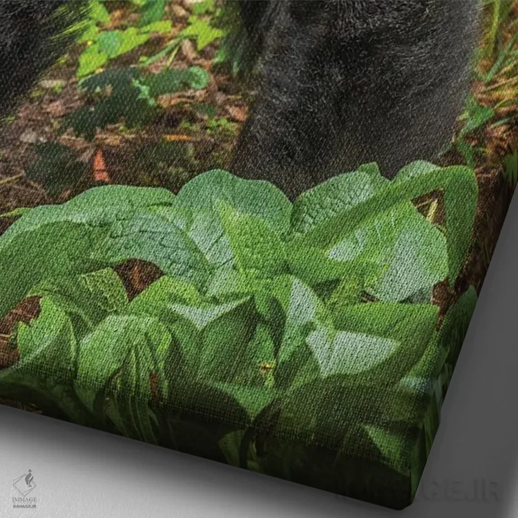 تابلو دکوراتیو من آماده ام، تو چطور؟ اثر لوئیس راث - نمای نزدیک بافت بوم