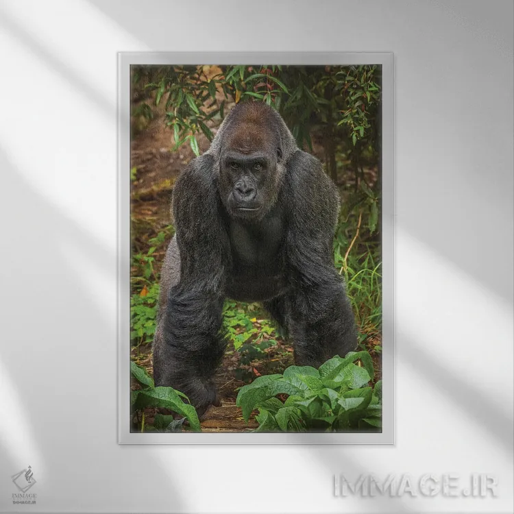 تابلو دکوراتیو من آماده ام، تو چطور؟ اثر لوئیس راث - نمای قابدار سفید