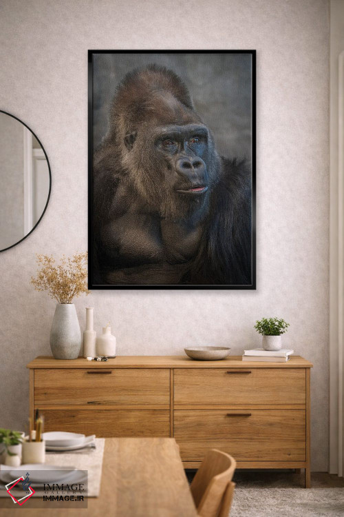 تابلو دکوراتیو نگاه گوریل نقره پشت اثر لوئیس راث - D2B