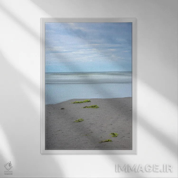 تابلو دکوراتیو رویاهای جلبکی اثر لوئیس راث - نمای قابدار سفید