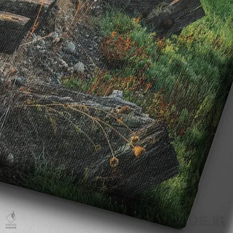 تابلو دکوراتیو نگاهی به المپیا اثر لوئیس راث - نمای نزدیک بافت بوم