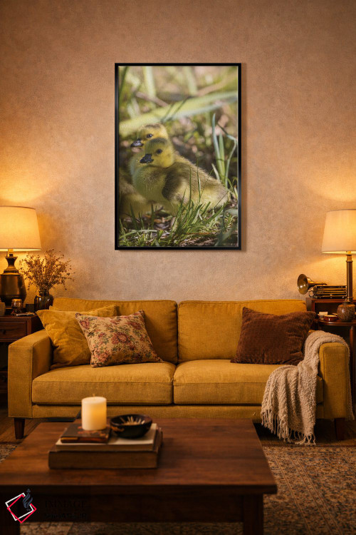 تابلو دکوراتیو جوجه غاز بسیار بامزه اثر لوئیس راث - D4B