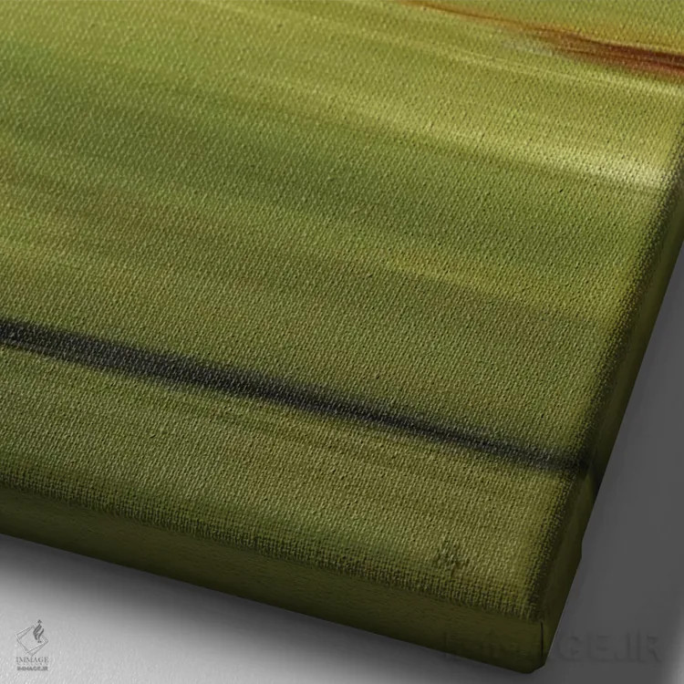 تابلو انتزاعی نزدیک خانه سه اثر لیزا ریجرز - نمای نزدیک بافت بوم