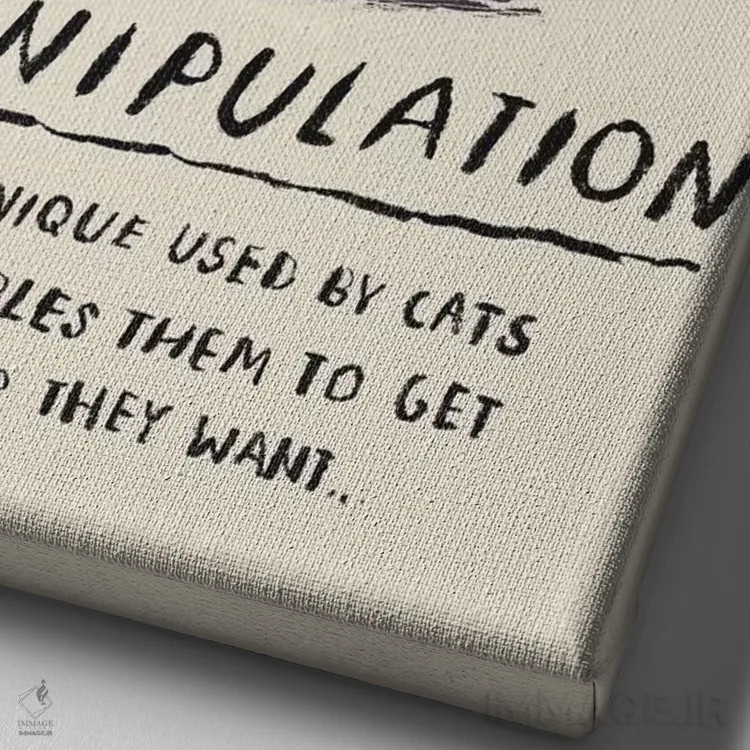 تابلو دکوراتیو بازیگوشی گربه وار اثر لوئیس روسکوش - نمای نزدیک بافت بوم