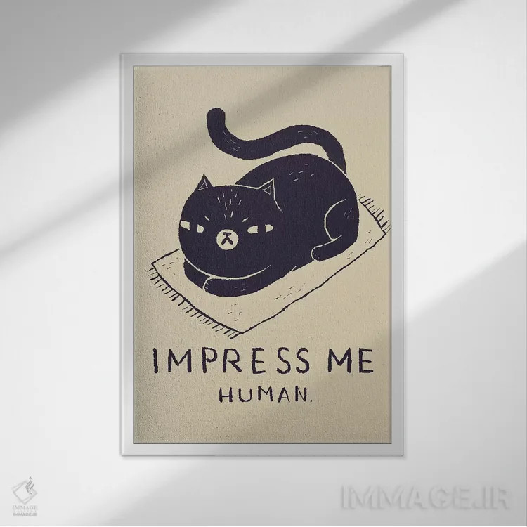 تابلو دکوراتیو من را تحت تاثیر قرار بده اثر لوئیس روسکوش - نمای قابدار سفید