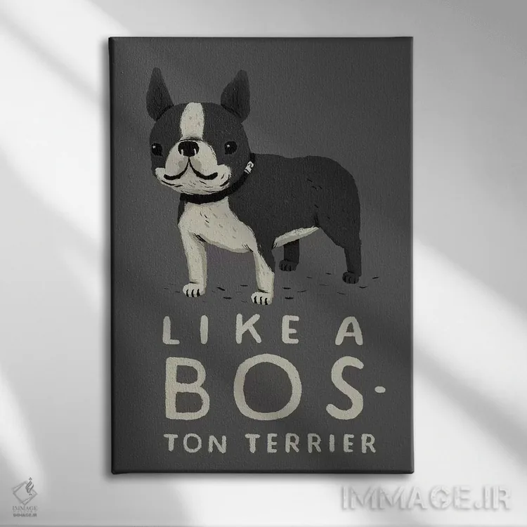 تابلو دکوراتیو بوستون اثر لوئیس روسکوش - نمای روبهرو روی دیوار