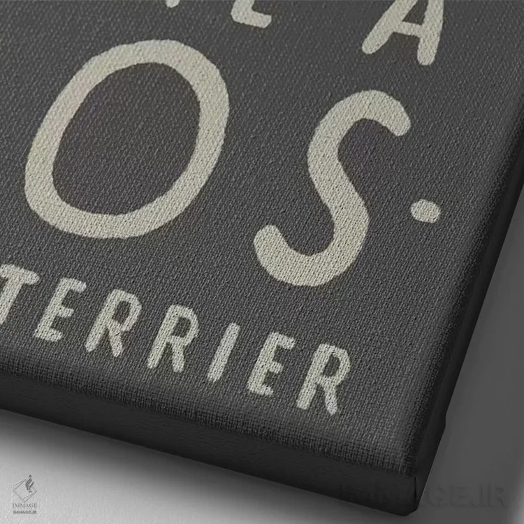 تابلو دکوراتیو بوستون اثر لوئیس روسکوش - نمای نزدیک بافت بوم