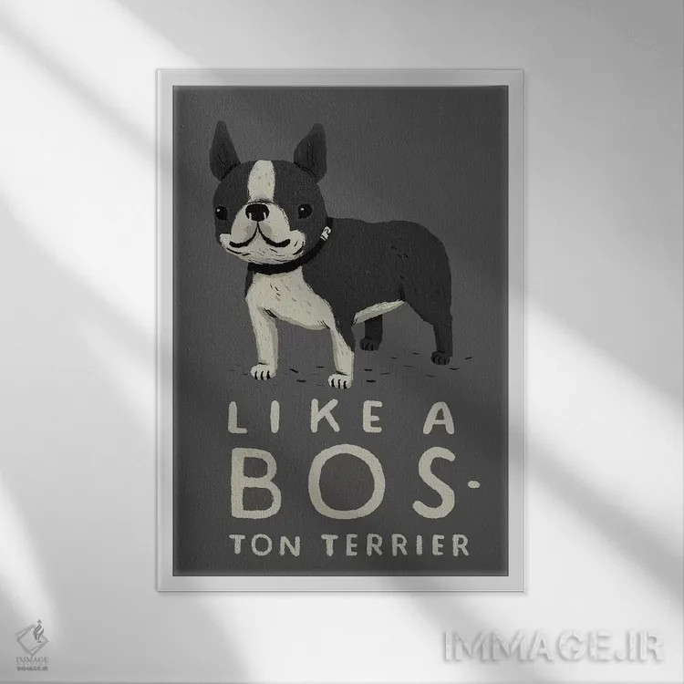 تابلو دکوراتیو بوستون اثر لوئیس روسکوش - نمای قابدار سفید