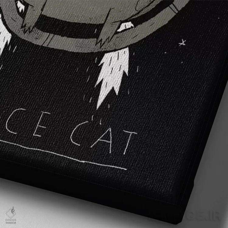 تابلو دکوراتیو گربه فضایی اثر لوئیس روسکوش - نمای نزدیک بافت بوم