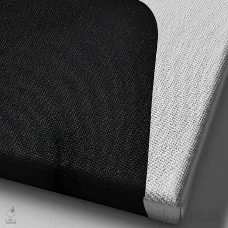 تابلو دکوراتیو اولیو اثر لورا اچ. روبین - نمای نزدیک بافت بوم