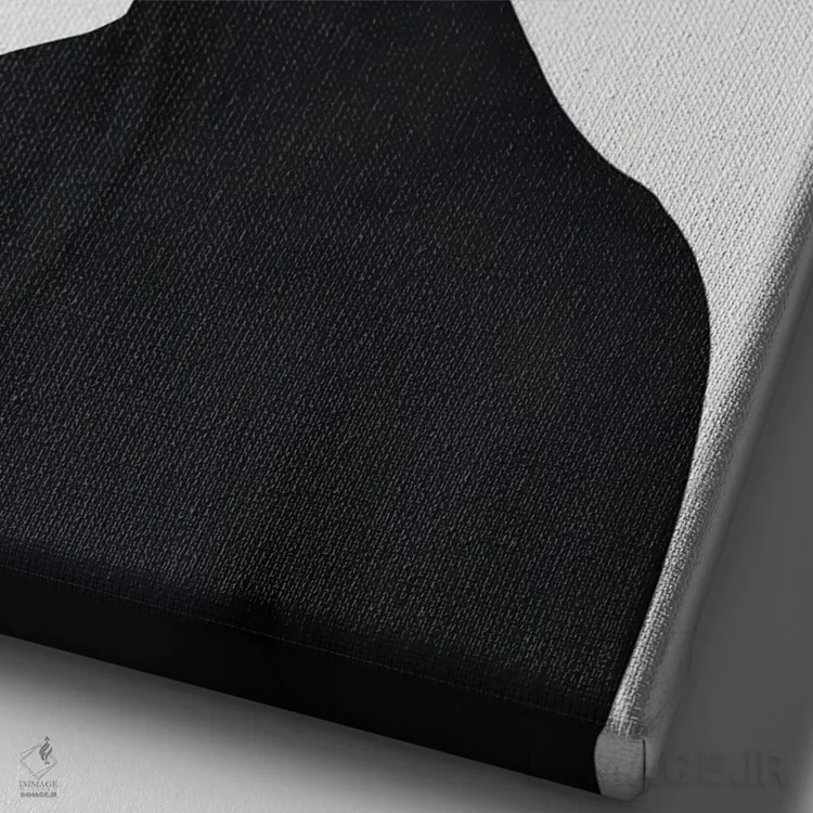 تابلو دکوراتیو پشت نقاب اثر لورا اچ. روبین - نمای نزدیک بافت بوم