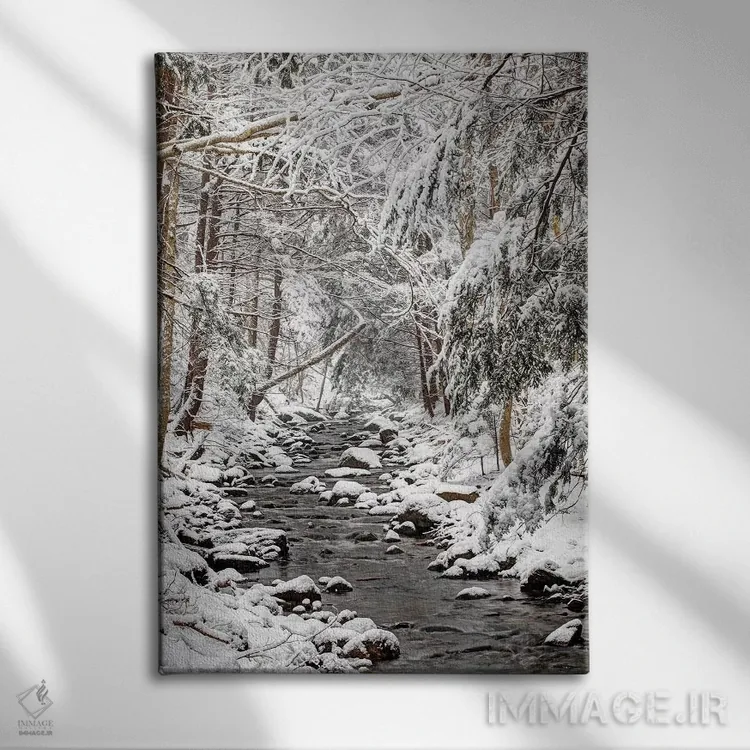 تابلو دکوراتیو جویبار در زمستان، نوا اسکوشیا، کانادا اثر اسکات لزلی - نمای روبهرو روی دیوار