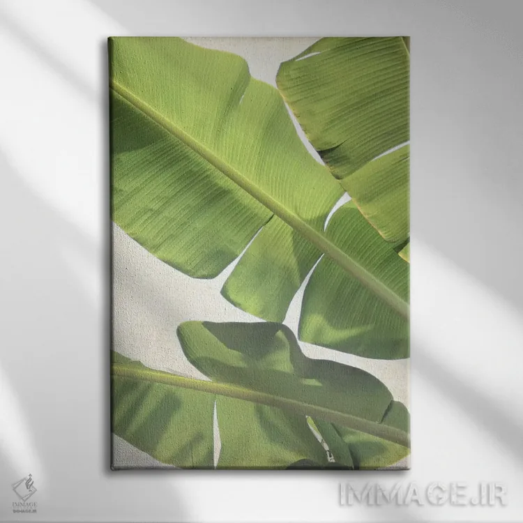 تابلو دکوراتیو موز سبز اثر لوپن گرین - نمای روبهرو روی دیوار