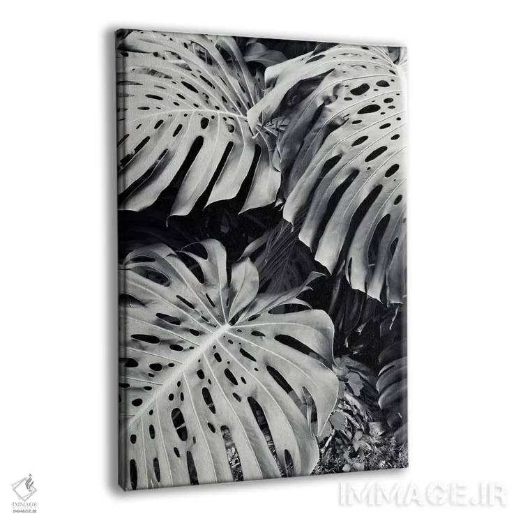 تابلو دکوراتیو مونسترا اثر لوپن گرین - نمای پرسپکتیو محصول