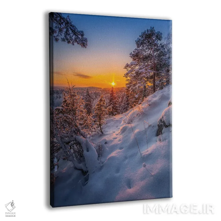 تابلو دکوراتیو ردپا در برف I اثر لاری لوهی - نمای پرسپکتیو محصول