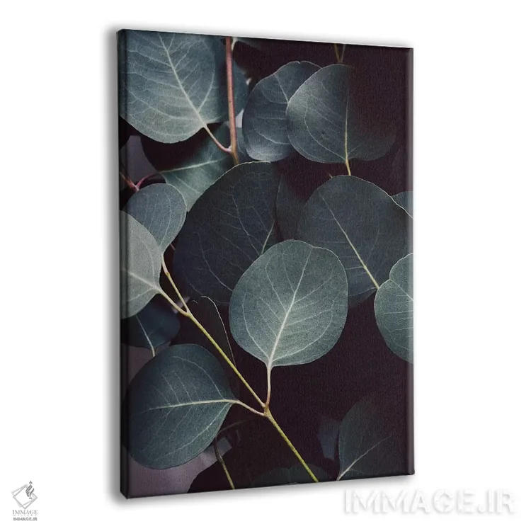 تابلو دکوراتیو برگ های اکالیپتوس اثر لوپن گرین - نمای پرسپکتیو محصول