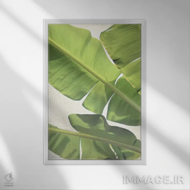 تابلو دکوراتیو موز سبز اثر لوپن گرین - نمای قابدار سفید