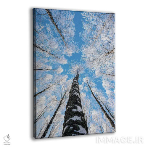 تابلو دکوراتیو رسیدن به آسمان II اثر لاری لوهی - نمای پرسپکتیو محصول