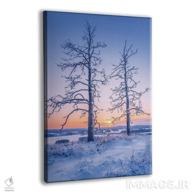 تابلو دکوراتیو دو نگهبان II اثر لاری لوهی - نمای پرسپکتیو محصول