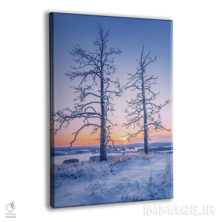 تابلو دکوراتیو دو نگهبان II اثر لاری لوهی - نمای پرسپکتیو محصول