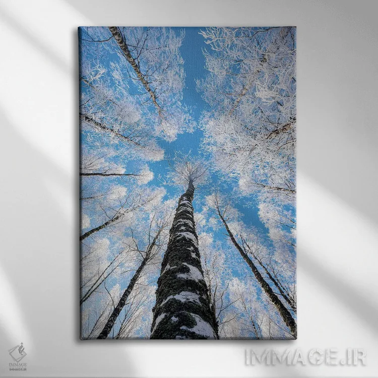 تابلو دکوراتیو رسیدن به آسمان II اثر لاری لوهی - نمای روبهرو روی دیوار