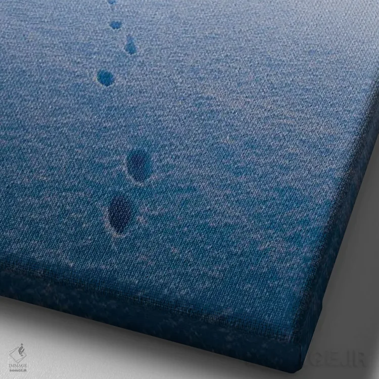 تابلو دکوراتیو تنهایی اثر لاری لوهی - نمای نزدیک بافت بوم