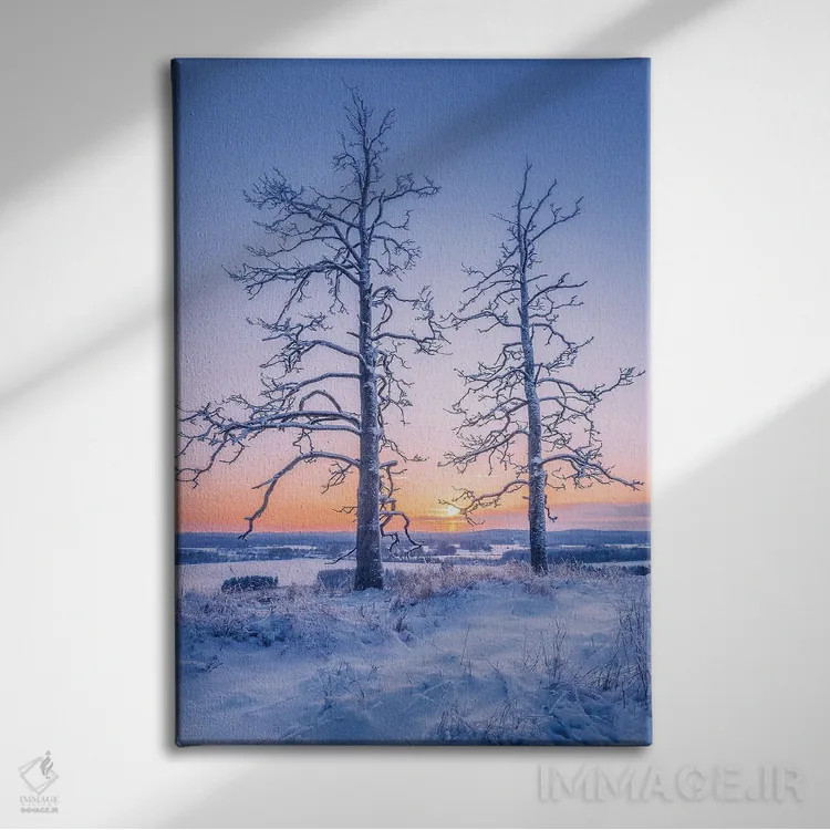 تابلو دکوراتیو دو نگهبان II اثر لاری لوهی - نمای روبهرو روی دیوار