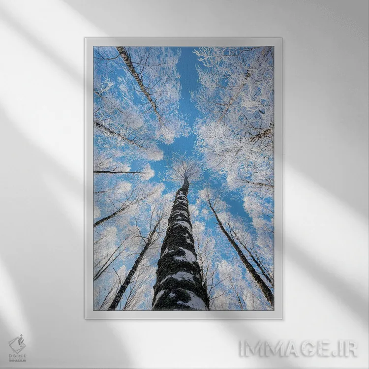 تابلو دکوراتیو رسیدن به آسمان II اثر لاری لوهی - نمای قابدار سفید