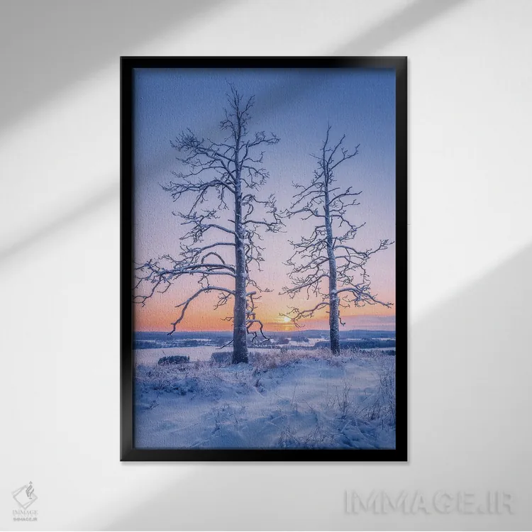 تابلو دکوراتیو دو نگهبان II اثر لاری لوهی - نمای قابدار مشکی