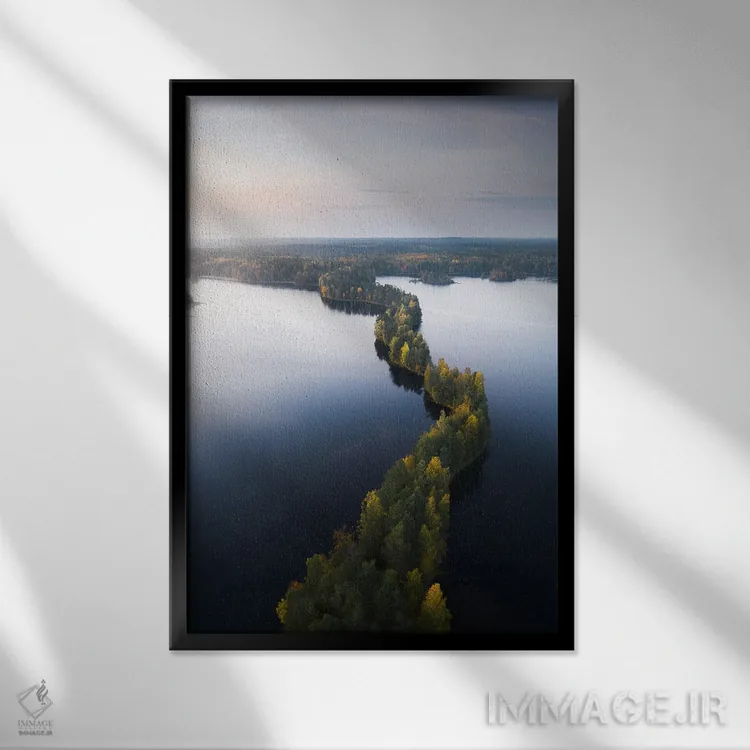 تابلو دکوراتیو جزیره مار اثر لاری لوهی - نمای قابدار مشکی