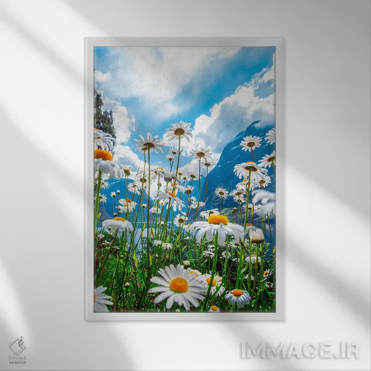 تابلو دکوراتیو روز تابستانی در نروژ اثر لاری لوهی - نمای قابدار سفید