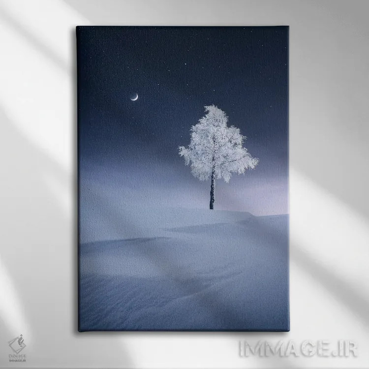 تابلو دکوراتیو ماه در حال افزایندگی اثر لاری لوهی - نمای روبهرو روی دیوار