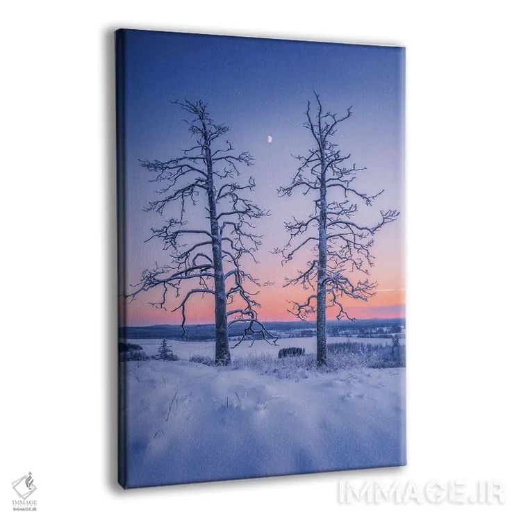 تابلو دکوراتیو دو نگهبان اثر لاری لوهی - نمای پرسپکتیو محصول