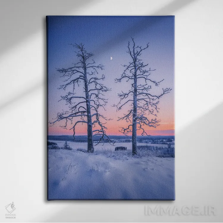 تابلو دکوراتیو دو نگهبان اثر لاری لوهی - نمای روبهرو روی دیوار