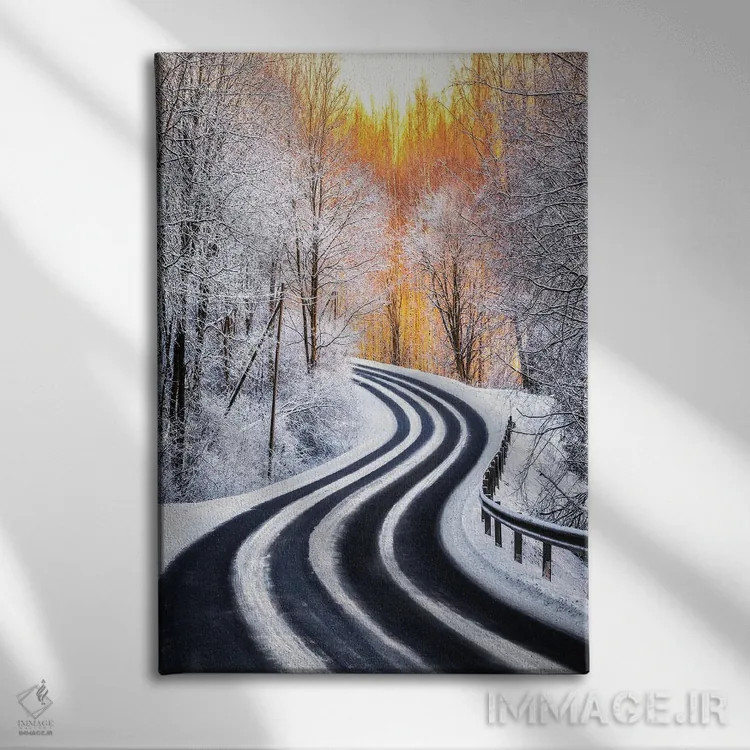 تابلو دکوراتیو منحنی ها اثر لاری لوهی - نمای روبهرو روی دیوار