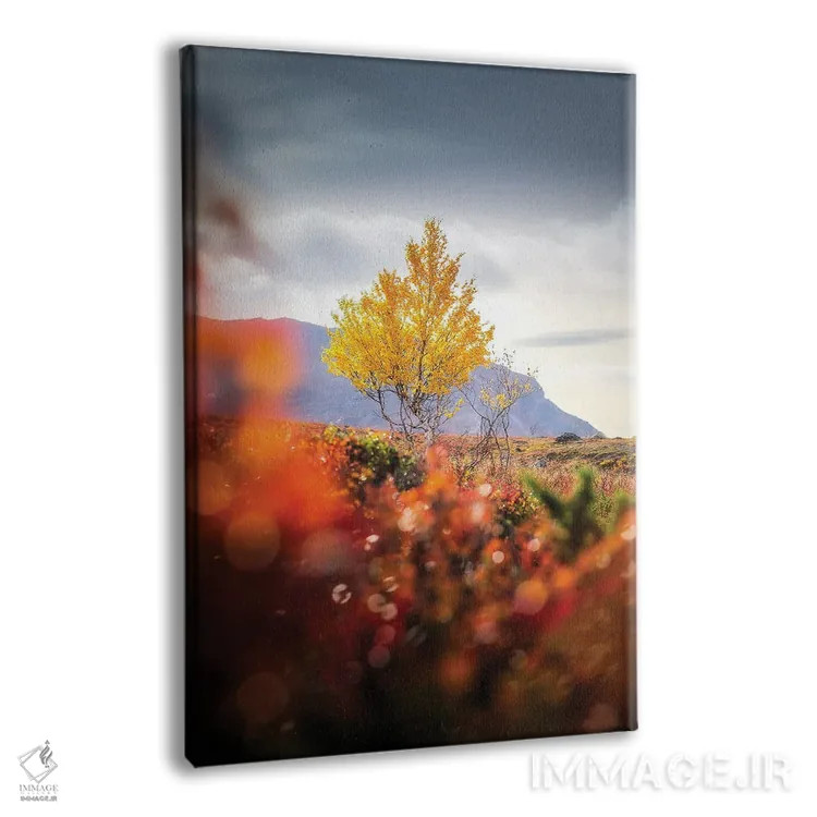 تابلو دکوراتیو تنها اثر لاری لوهی - نمای پرسپکتیو محصول