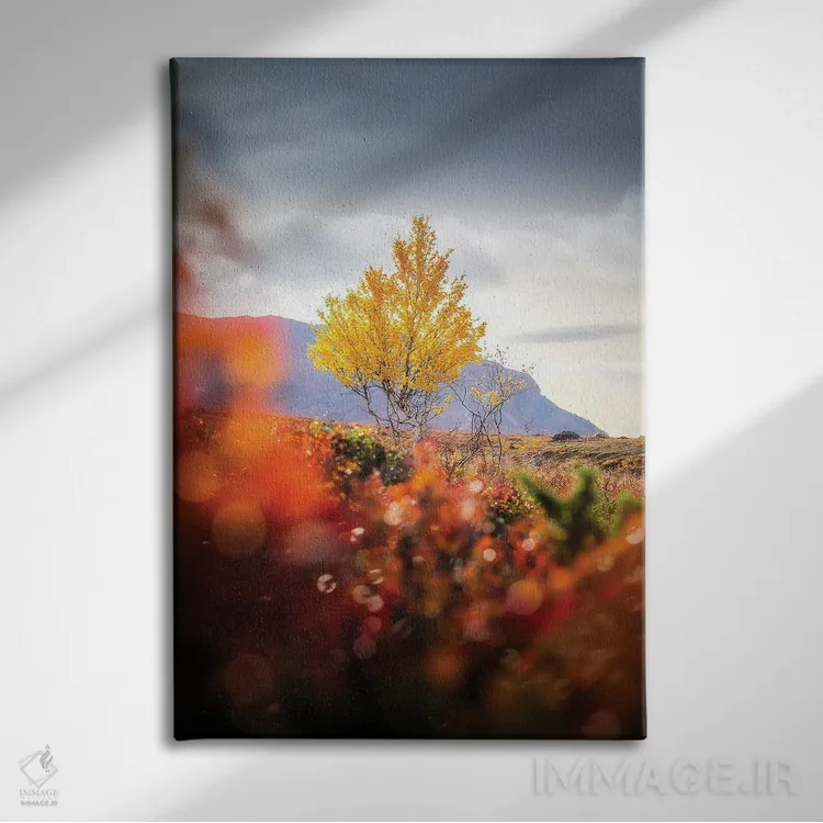 تابلو دکوراتیو تنها اثر لاری لوهی - نمای روبهرو روی دیوار