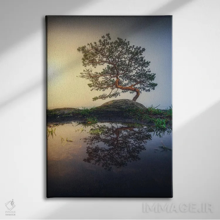 تابلو دکوراتیو بونسای اثر لاری لوهی - نمای روبهرو روی دیوار