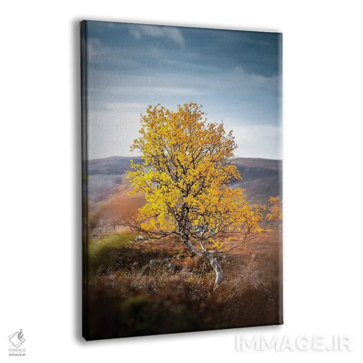 تابلو دکوراتیو تنها اثر لاری لوهی - نمای پرسپکتیو محصول