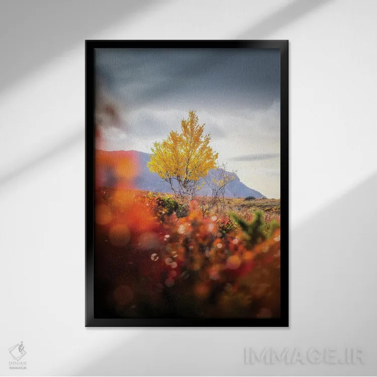 تابلو دکوراتیو تنها اثر لاری لوهی - نمای قابدار مشکی