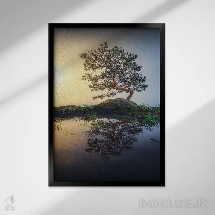 تابلو دکوراتیو بونسای اثر لاری لوهی - نمای قابدار مشکی