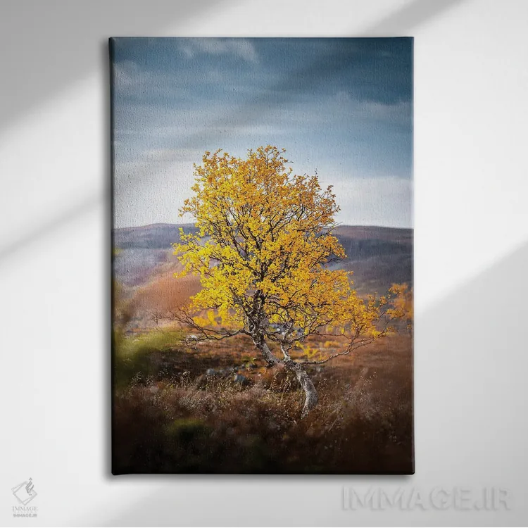 تابلو دکوراتیو تنها اثر لاری لوهی - نمای روبهرو روی دیوار