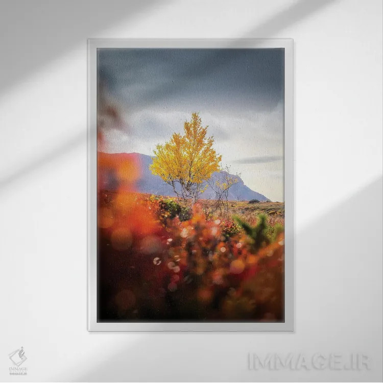 تابلو دکوراتیو تنها اثر لاری لوهی - نمای قابدار سفید